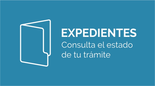 consulta-expedientes