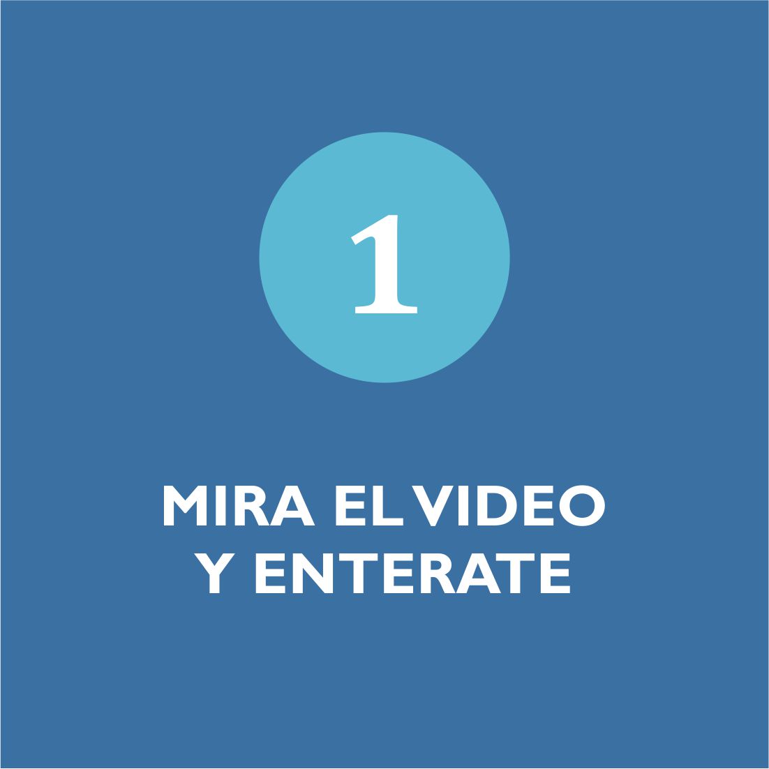 mira-el-video